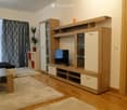 Modern living room with wooden flooring, white walls, a large TV stand with glass doors, a sofa, coffee table, and a small plant on a side table.