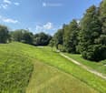 A well-maintained lawn with a winding gravel path, surrounded by tall trees and shrubs under a clear blue sky.