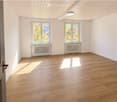 Empty room with wooden flooring, white walls, two windows with white frames, radiators, and a ceiling light fixture.