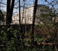 A multi-story residential building partially obscured by trees and vegetation in a natural setting.