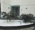 Small landscaped area with two small trees, white gravel, a curved concrete border, and a blue garden hose reel. The entrance to a building is visible in the background.