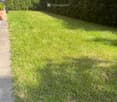 Well-maintained lawn with trimmed grass, surrounded by tall, neatly trimmed hedges and a paved pathway.
