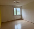 Empty room with wooden flooring, white walls, a large window with a view, and a radiator below the window.