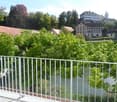 Balcony overlooking a river with surrounding greenery and distant buildings.