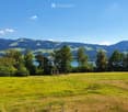 A lush green field with trees and a scenic mountain backdrop, featuring a lake in the distance under a clear blue sky.