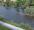 Aerial view of a river flowing through a green area with trees and a paved walkway along the riverbank.