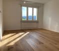 Empty room with light wooden flooring, white walls, large window with a scenic view, and a radiator below the window.