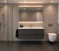 Modern bathroom with a double sink, large mirror, toilet, and glass-enclosed shower. Features dark tiles and sleek fixtures.