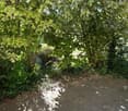 A paved outdoor area with concrete tiles, surrounded by lush green foliage and trees providing shade.