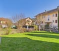 Green lawn, trees, bushes, fence, houses in the background