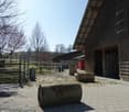Lukrative Reitsportimmobilie mit Reithalle und Wohnhaus