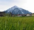 . ., 5436 Würenlos