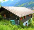 wooden house, brown roof, red shutters, surrounded by grass and plants, mountain view