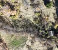 Aerial view of a wooded and partly burnt area with a small wooden structure