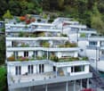 Traumhafte Terrassenwohnung mit Blick auf die Aare