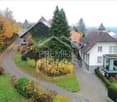 Gestalten Sie Ihr eigenes Mini-Paradies