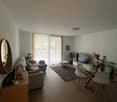 modern interior, gray couch, white curtains, dining table, potted plants, flatscreen TV