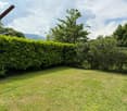 Lush green garden with a well-manicured lawn, surrounded by a tall hedge. There are various trees and shrubs in the background, creating a serene and natural environment. The image suggests a private outdoor space with potential for relaxation or recreati