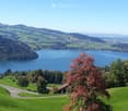 Obersellen 1, 6318 Walchwil