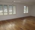 room with 2 large windows, hardwood floors, white walls, empty room