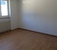 Empty room with wooden flooring, white walls, a window with a radiator below, and a single ceiling light fixture.