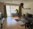 Modern living room with wooden flooring, large windows, a grey sofa with colorful cushions, a coffee table, a TV stand, and decorative plants.