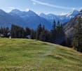 A lush green meadow surrounded by dense forest, with snow-capped mountains in the background under a clear blue sky.