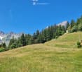 A serene mountain landscape with a grassy field, scattered trees, and two small wooden houses nestled among the trees.