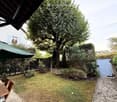 Garden with a wooden table, chairs, umbrella, and a large tree, surrounded by greenery and a stone pathway leading to a gate.