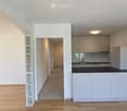 Empty kitchen area with white cabinets, black countertops, and wooden flooring. No furniture or appliances are present.