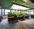 Modern office space with multiple desks, chairs, computers, and large potted plants near large windows.