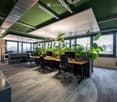 Modern office space with desks, chairs, computers, large windows, and indoor plants.