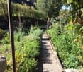 A well-maintained garden with a gravel pathway flanked by lush greenery, including shrubs, herbs, and small trees. The garden is enclosed by stone walls and wooden fences, with a serene, natural setting.