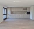Empty kitchen with light grey cabinets, a sink, and a tiled backsplash. The space features wooden flooring and large windows offering a view of greenery.