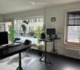 Modern office space with two standing desks, chairs, laptops, screens, potted plants, and a radiator near the window.