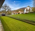 Well-maintained lawn bordered by a wire fence, with a small shed and neighboring houses visible in the background.