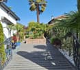 A well-maintained garden pathway lined with palm trees, shrubs, and potted plants, leading to a house entrance.