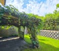 green grass, wooden pergola, wooden fence, stone wall, plants, shrubs