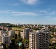 Aerial view of a city with many high-rise buildings and a lush green park in the foreground, mountains in the distance