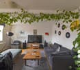 Living room with two sofas, wooden coffee table, floor lamp, radiator, TV, speakers, decorative items, plants