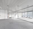 empty room, white walls, gray carpet, glass walls, white doors