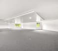 empty room, gray carpet, white walls, windows, ceiling lights