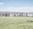 Bauland am Hallwilersee
