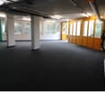 Open and empty space, black floor, white ceiling with fluorescent lights, tall glass windows, open doors