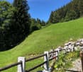 hillside with lush green grass, small stone wall, wooden fence, metal water cans with red objects in them, greenery, clear sky, and trees