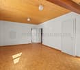 1233 Bernex