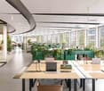 large room, white and grey walls, wooden tables, open ceiling design, lots of windows, greenery, glass partition, mirrored walls