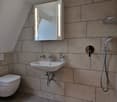Compact bathroom with shower, sink, and toilet, ceiling-mounted mirror, power outlet, and a skylight window.