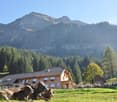 A large wooden building with several windows, a large garden, cows laying in front, mountains in the background