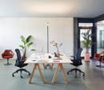desk, 4 chairs, 2 plants, monitors, books, and a vase with flowers